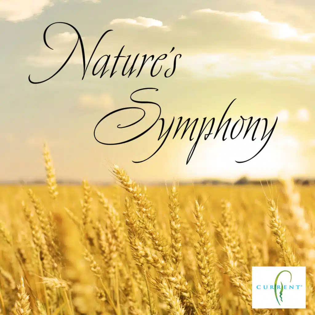 Nature's Symphony (feat. Twin Sisters)