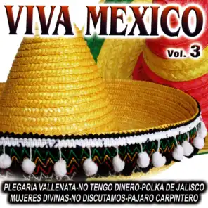 Viva Mexico Vol.3