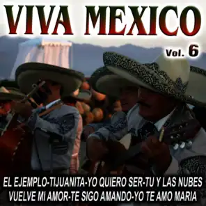 Viva Mexico Vol.6