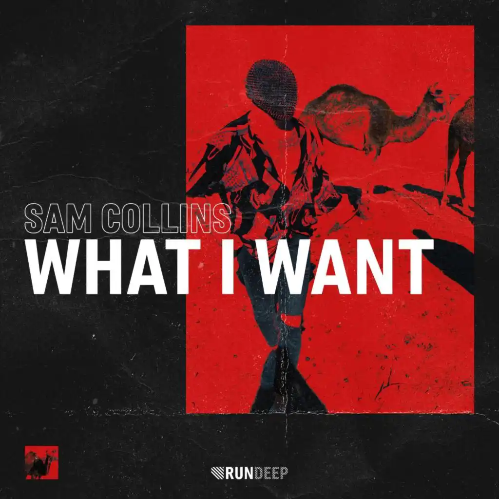 What I Want (Extended Mix)