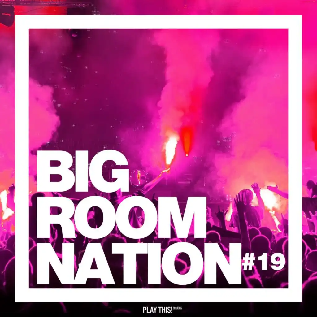 Big Room Nation, Vol. 19