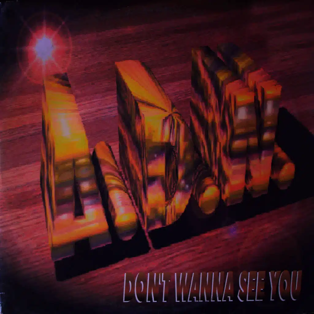 I Don't Wanna See You