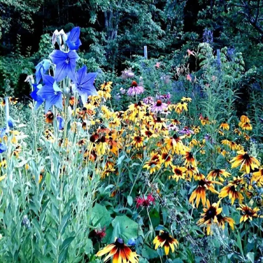 Songs of Inspiration