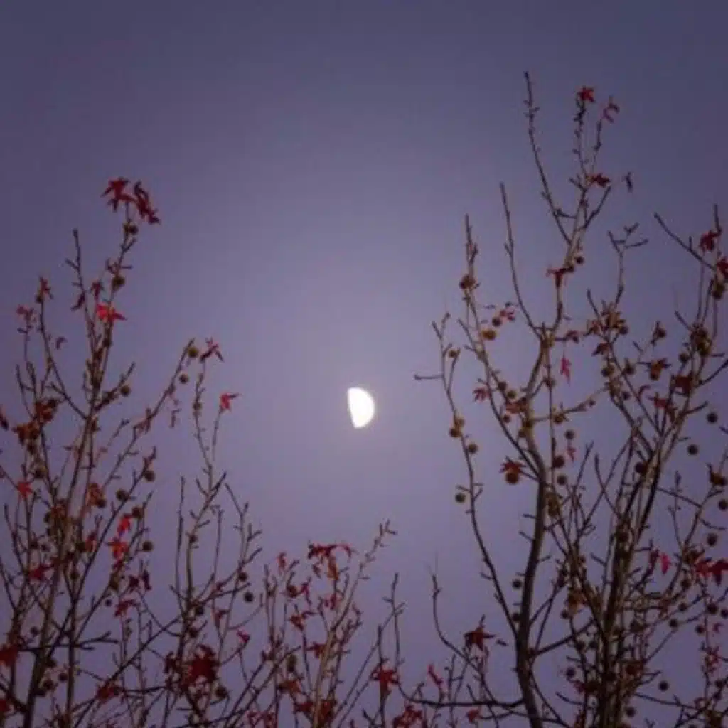 TheMoonIsCallingYouToComeBackToMe