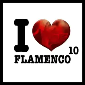 I Love Flamenco Vol.10