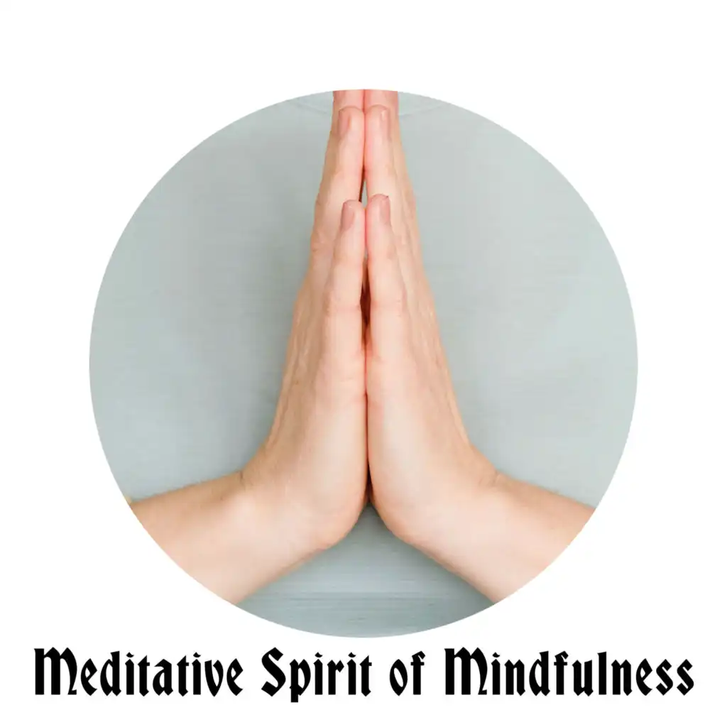 Meditative Spirit of Mindfulness