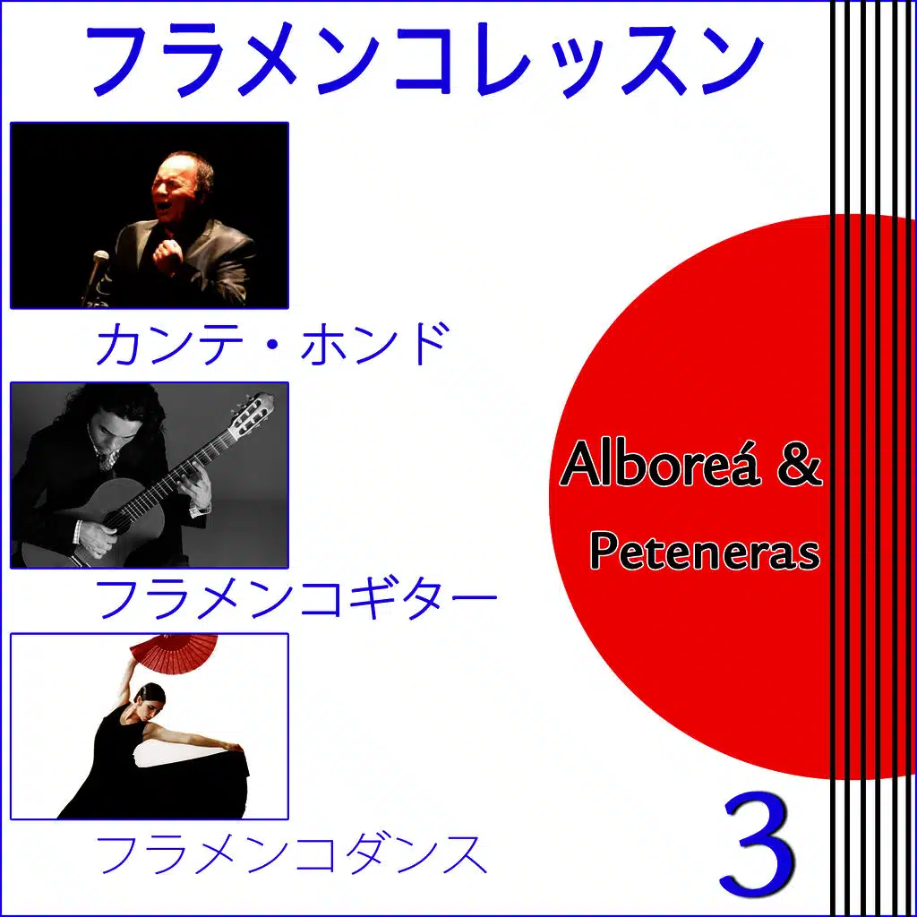 フラメンコレッスン. スペインから   . カンテ・ホンド . フラメンコギター .フラメンコダンス . 3
