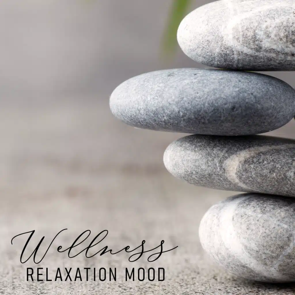 Wellness Relaxation Mood – Soothing Nature Sounds Collection for Spa, Hot Oil Massage, Balm, Bliss Cure, Positive Vibration, Relaxation Breeze, Sauna