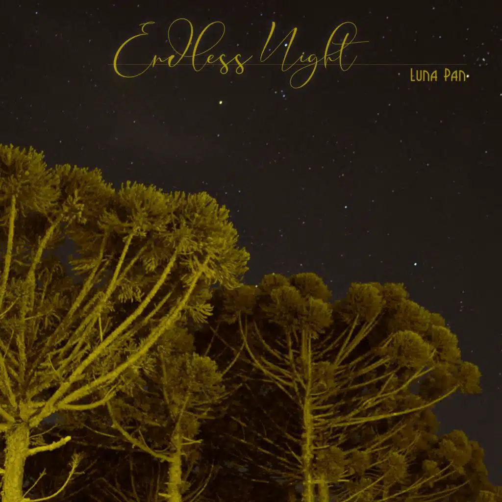 Endless Night