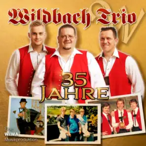 35 Jahre Wildbach Trio