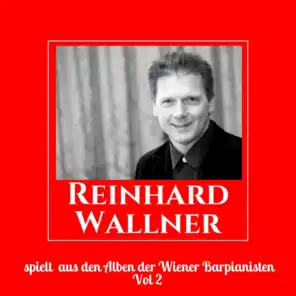 Reinhard Wallner spielt aus den Alben der Wiener Barpianisten, Vol. 2