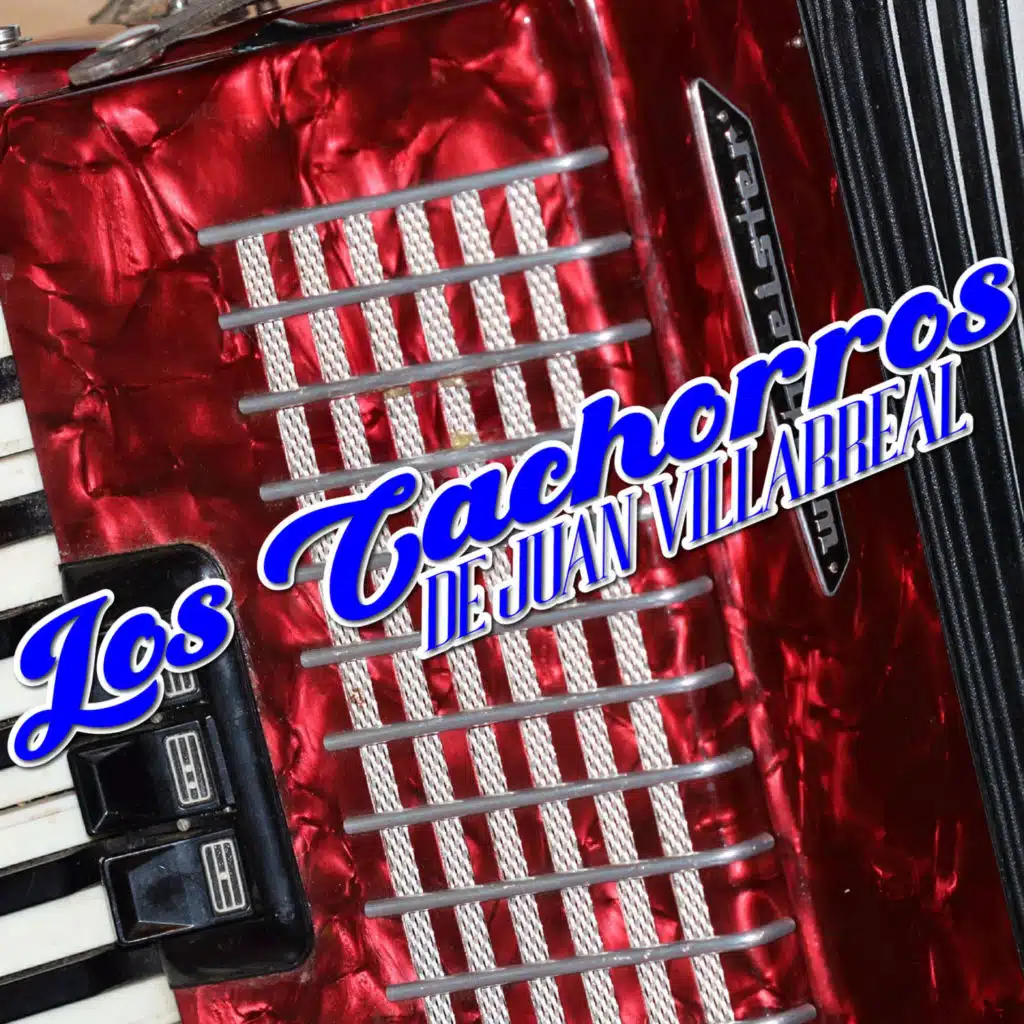 Los Cachorros De Juan Villareal