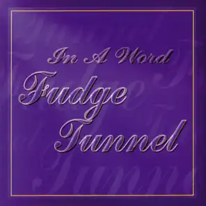 Fudge Tunnel