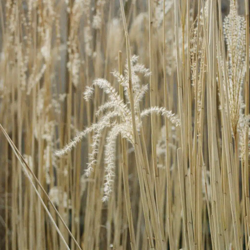 #Soothing Sounds to Help You Sleep