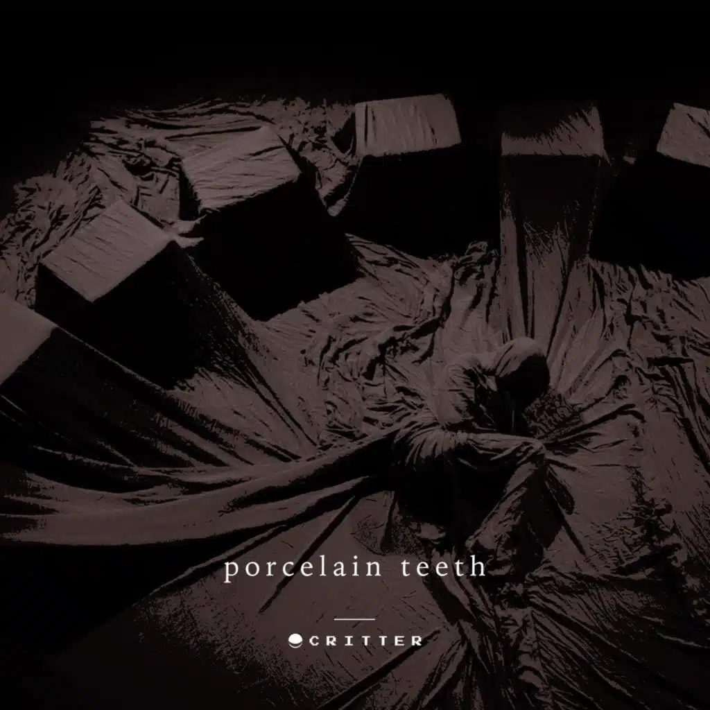 Porcelain Teeth