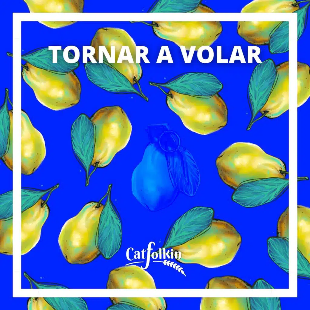 Tornar A Volar