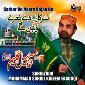 Sahibzada Muhammad Sohail Kaleem Farooqi