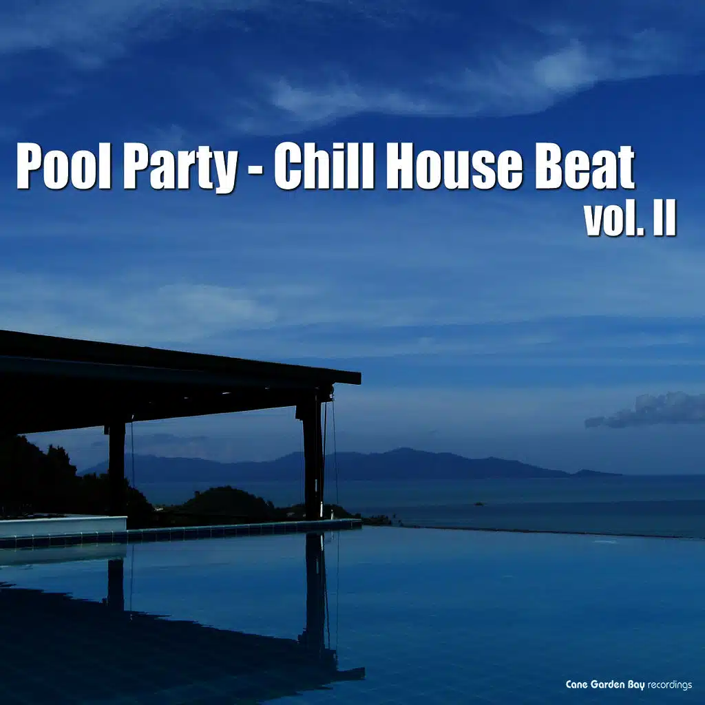 Pool Party: Chill House Beat, Vol. 2