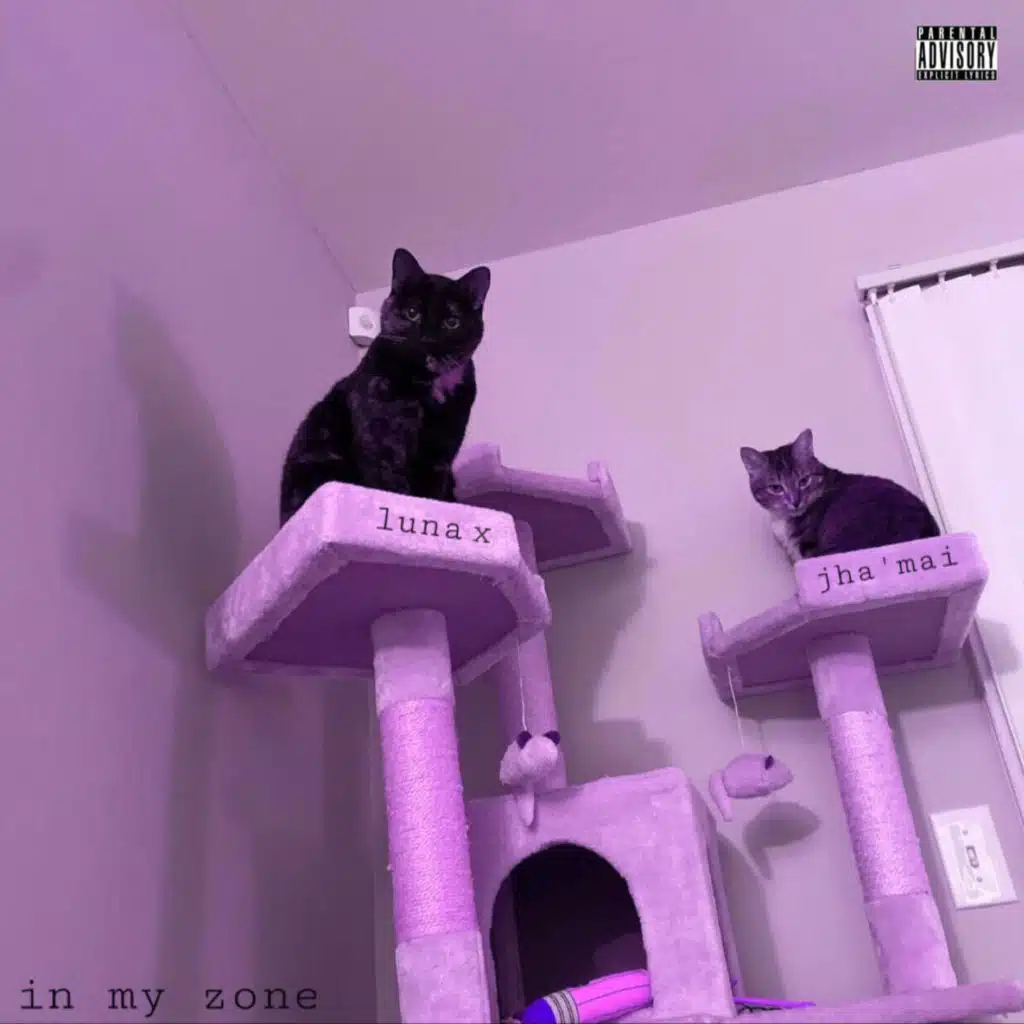 In My Zone (feat. Luna X)