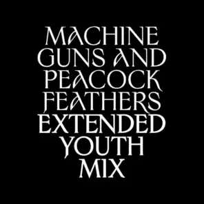 Machine Guns and Peacock Feathers (Extended Youth Mix) [feat. Martin Glover]