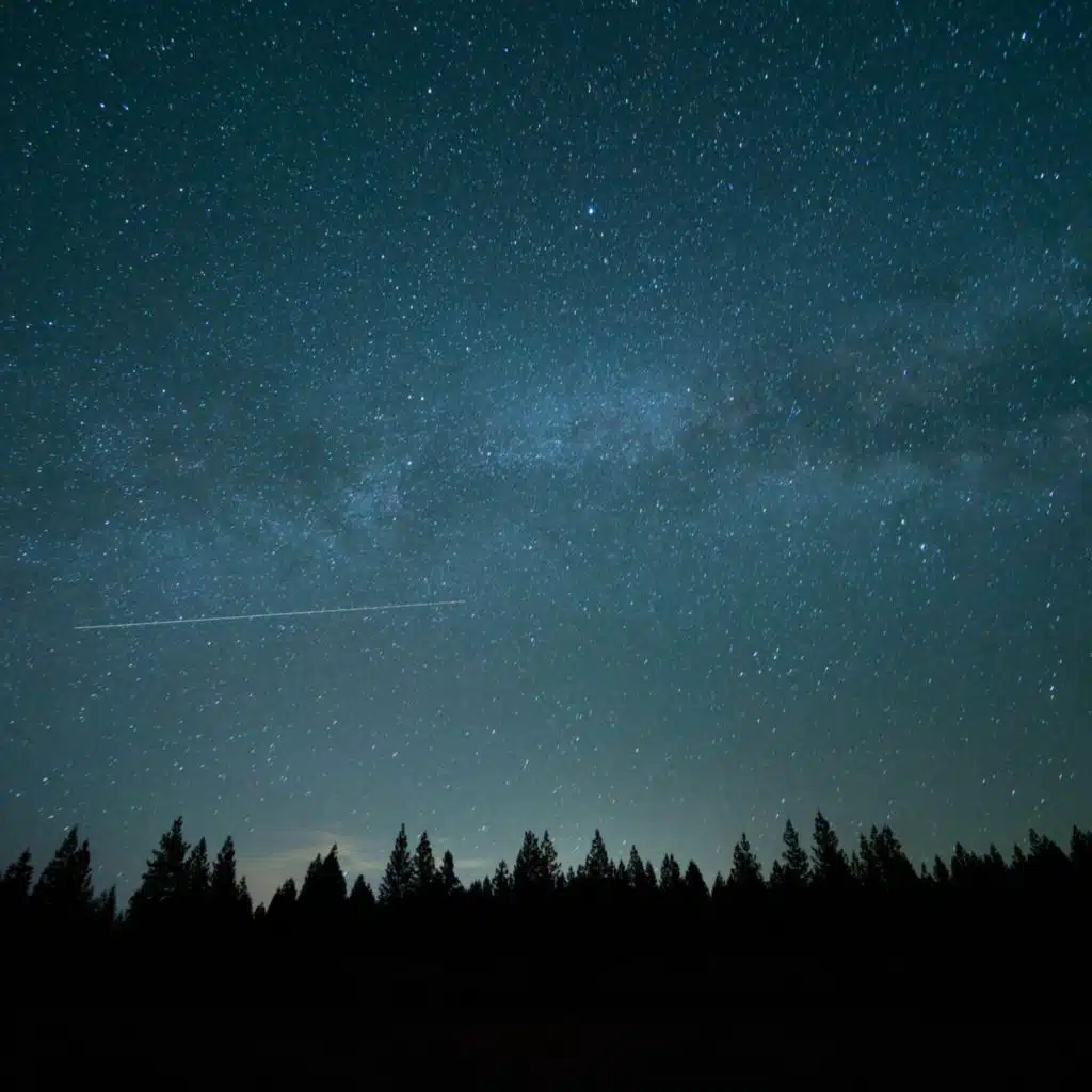 Midnight Sky (feat. Andrzej Rejman)