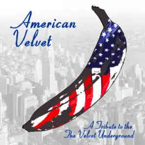 American Velvet: A Tribute To The Velvet Underground (10th Anniversary Edition)