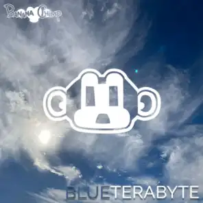 Blue Terabyte