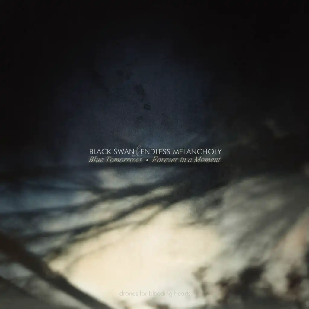 Forever In A Moment (feat. Black Swan (Drones for Bleeding Hearts))