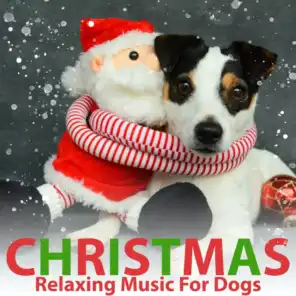 Christmas Relaxing Music for Dogs
