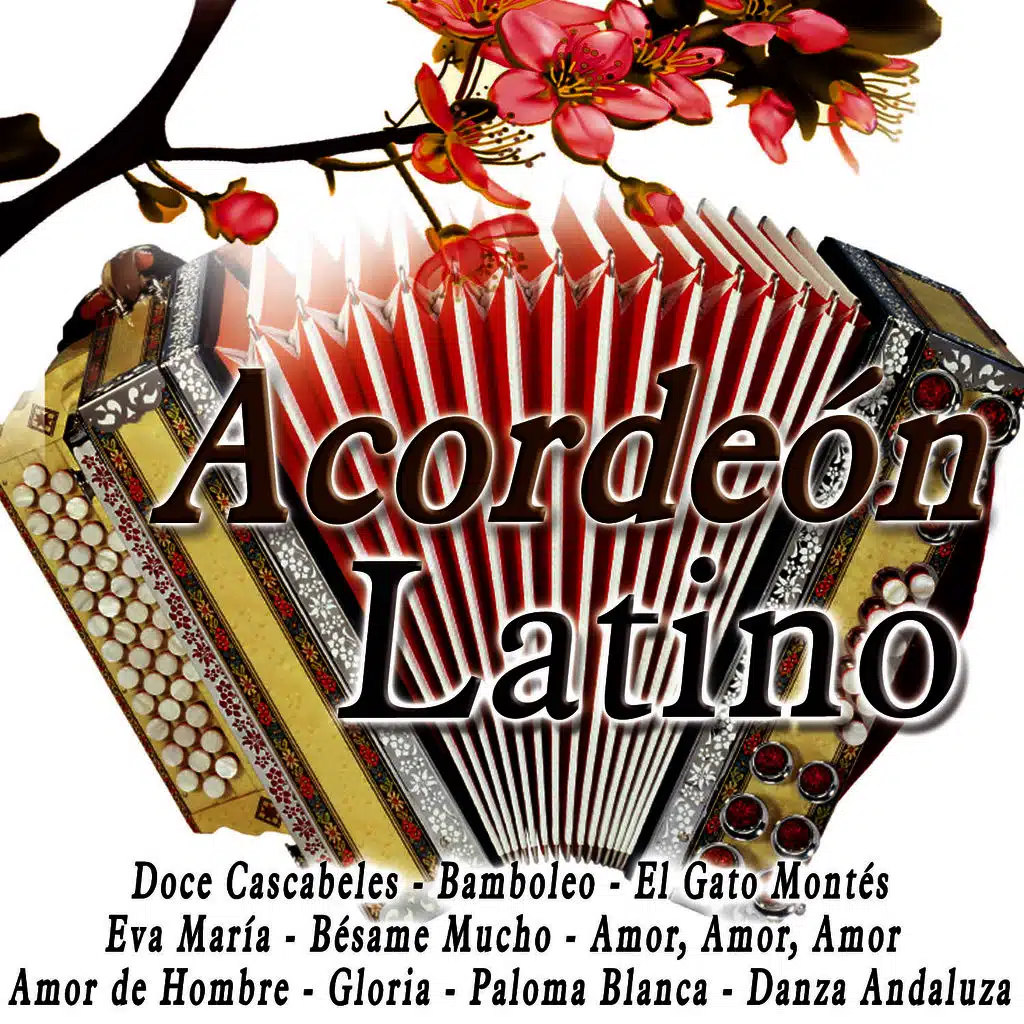 Acordeón Latino