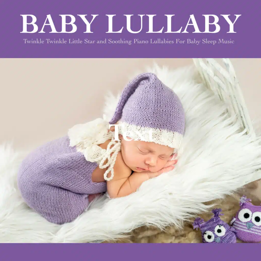 Newborn Baby Sleep Aid