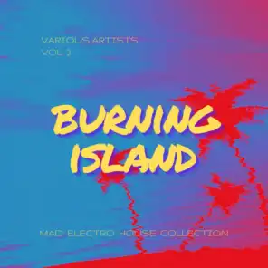 Burning Island (Mad Electro House Collection), Vol. 3