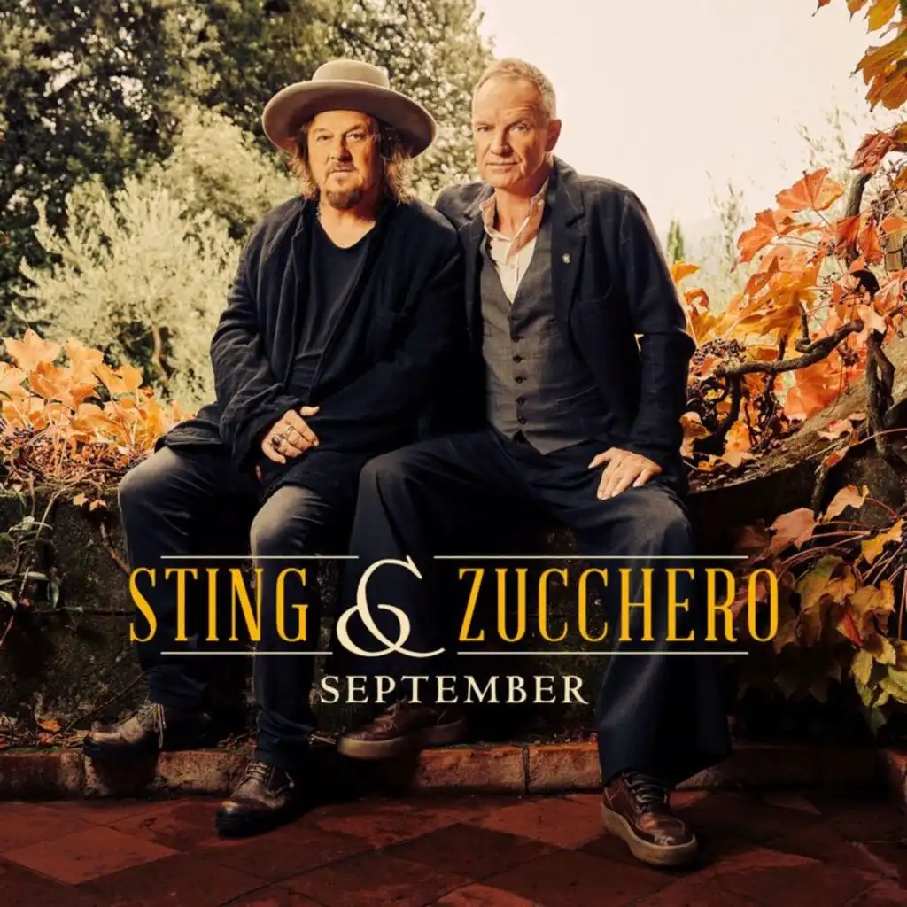 Sting & Zucchero