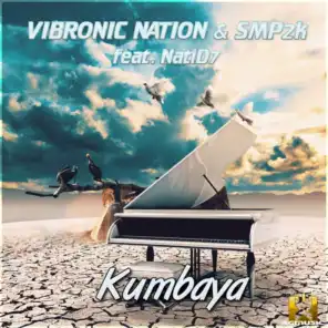 Vibronic Nation feat. SMP2k