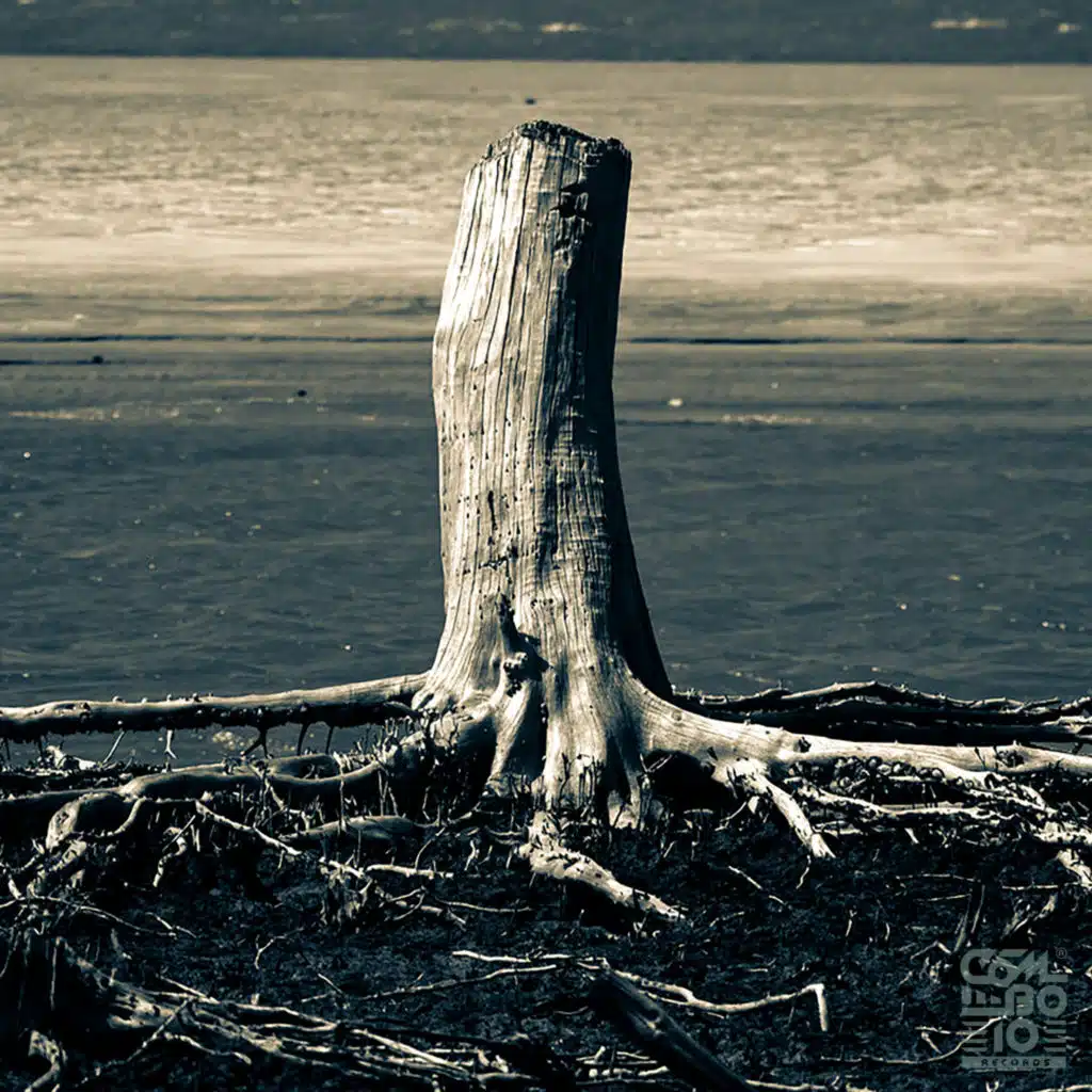 Resgate Raiz (feat. Duzzão & Donna Forte)