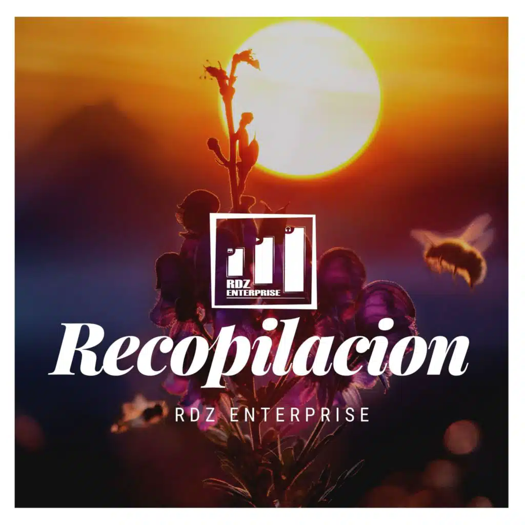 RDZ Enterprise & Dalaz Mc