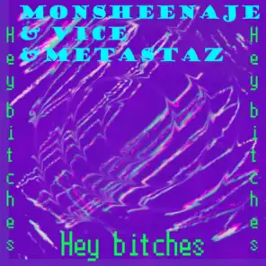 Hey Bitches (feat. Vice & Metastaz)