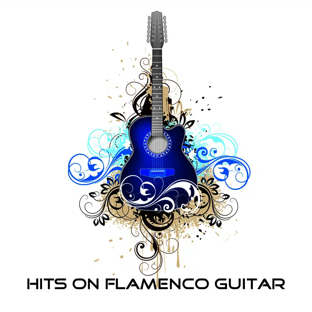 Hits On Flamenco Guitar