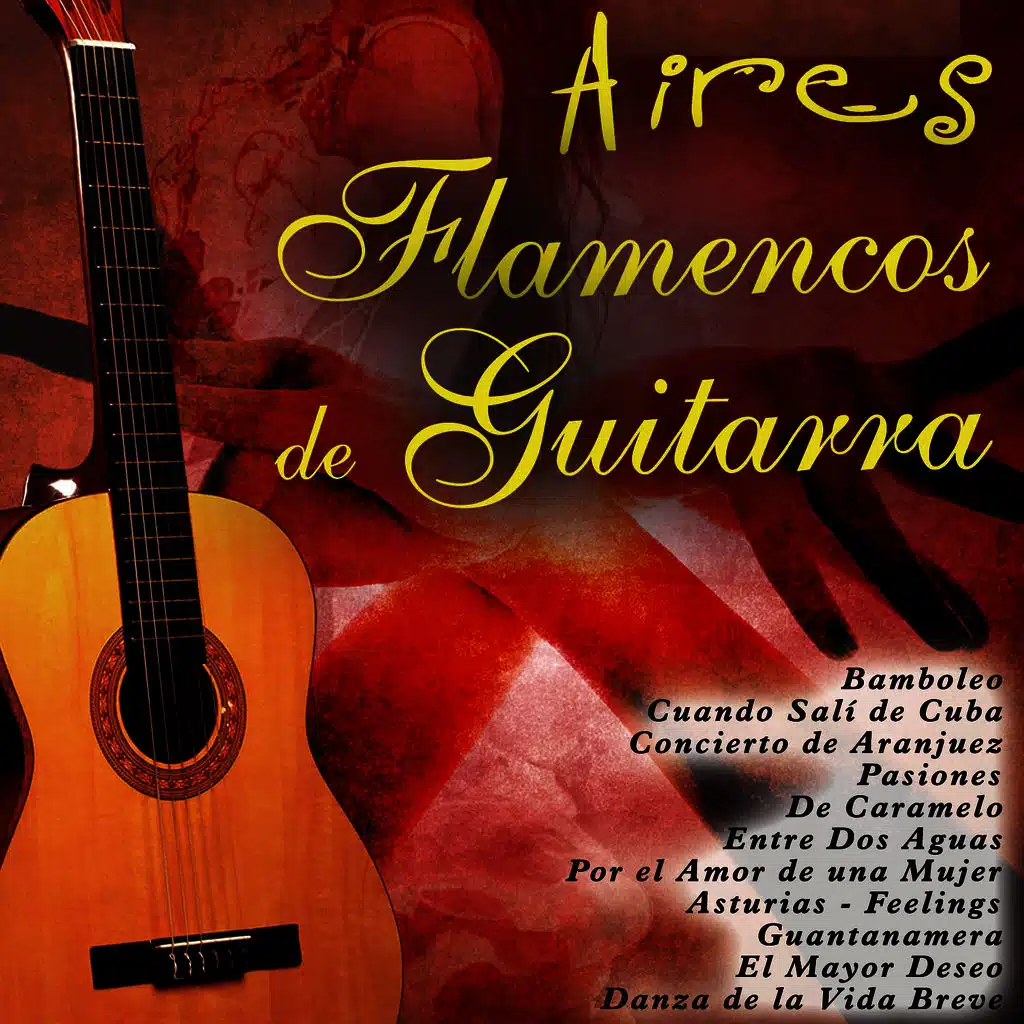 Aires Flamencos de Guitarra
