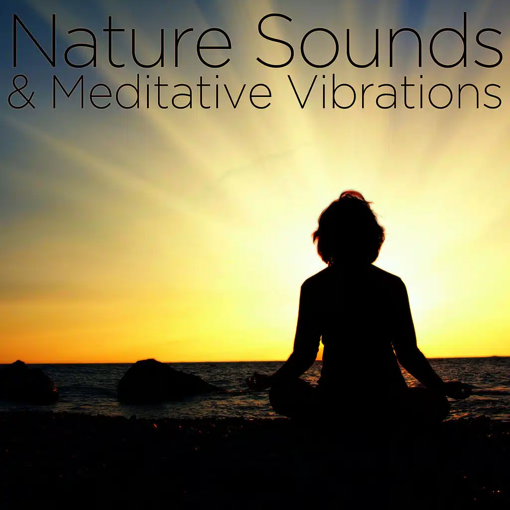 Nature Sounds & Meditative Vibrations