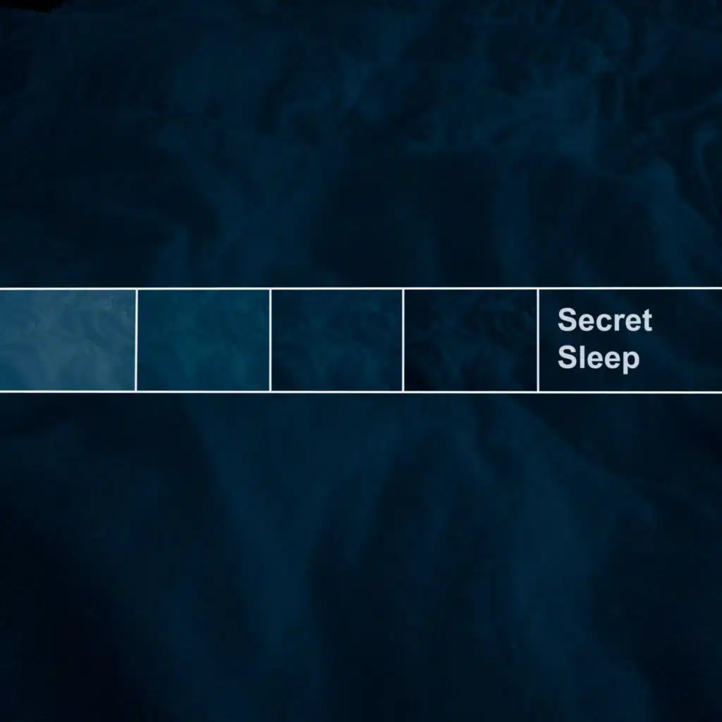 Secret Sleep