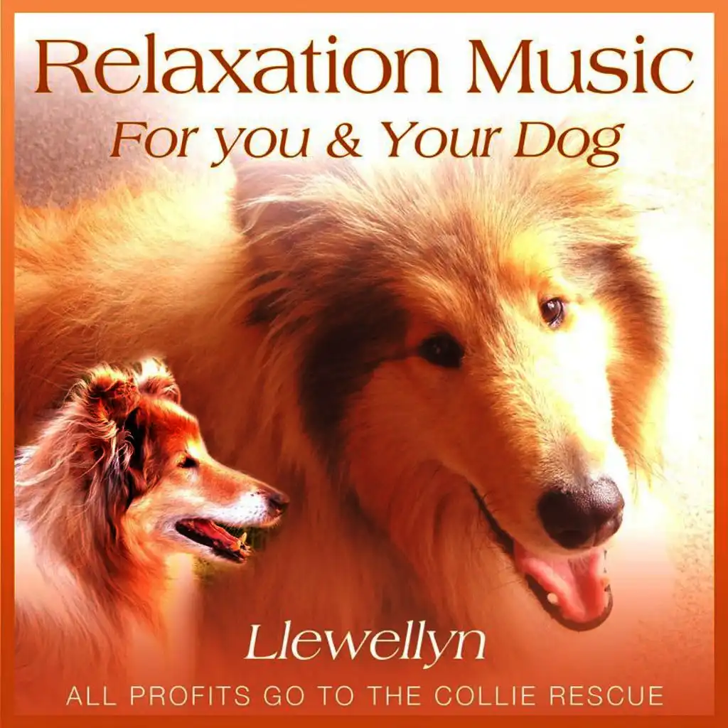 Just for Today I Will Not Worry