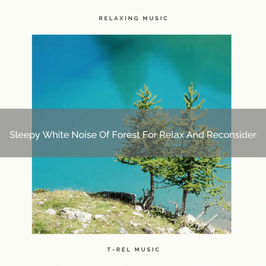 Sleepy White Noise Of Forest For Relax And Reconsider