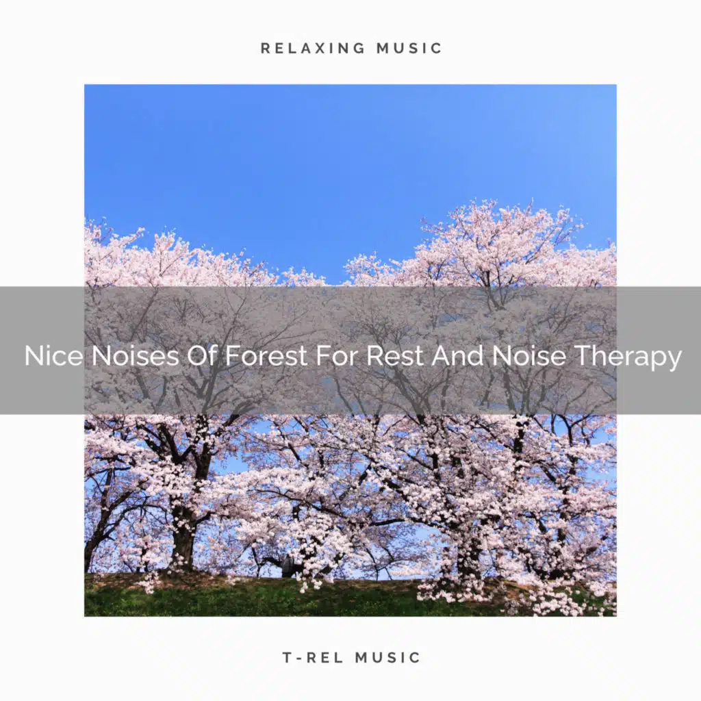 Nice Noises Of Forest For Rest And Noise Therapy