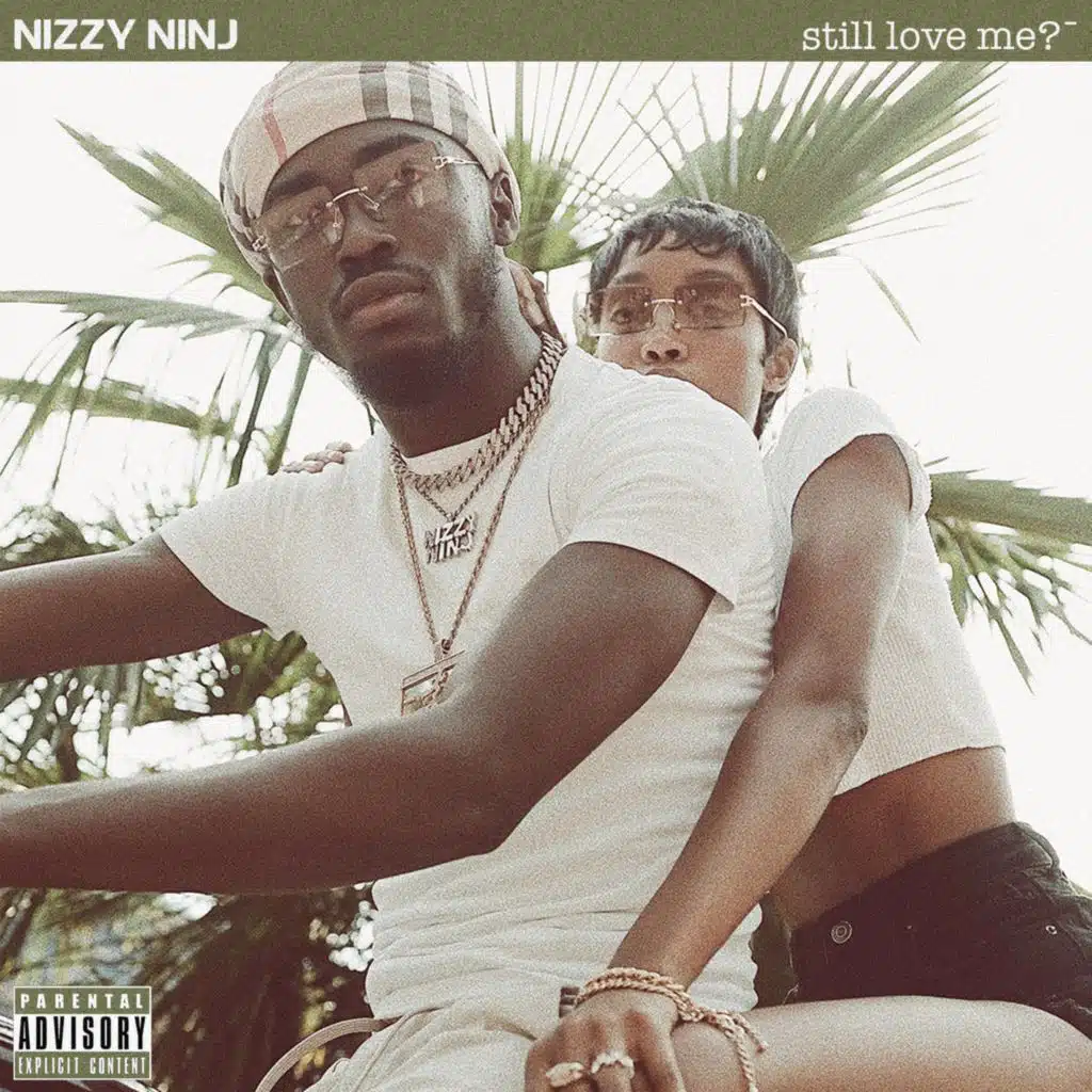 Nizzy Ninj