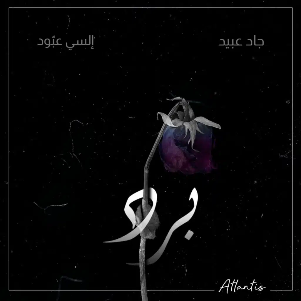برد - إلسي عبّود