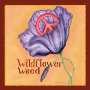 Wildflower Weed