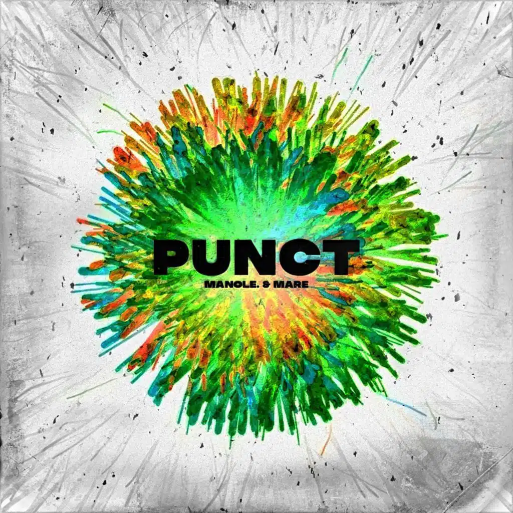 Punct Instrumentals