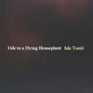 Ode to a Dying Houseplant
