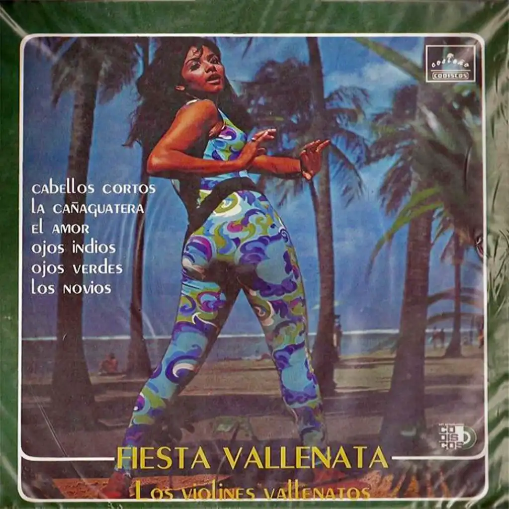 Fiesta vallenata, Los violines vallenatos